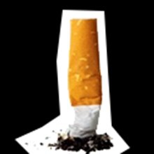 Umbraco.Core.Dynamics.PropertyResult